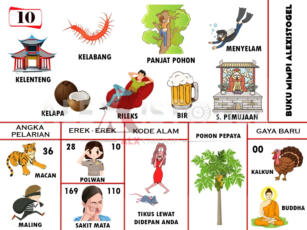 buku mimpi erek erek togel 10