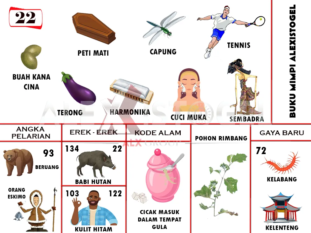 buku mimpi erek erek togel 22