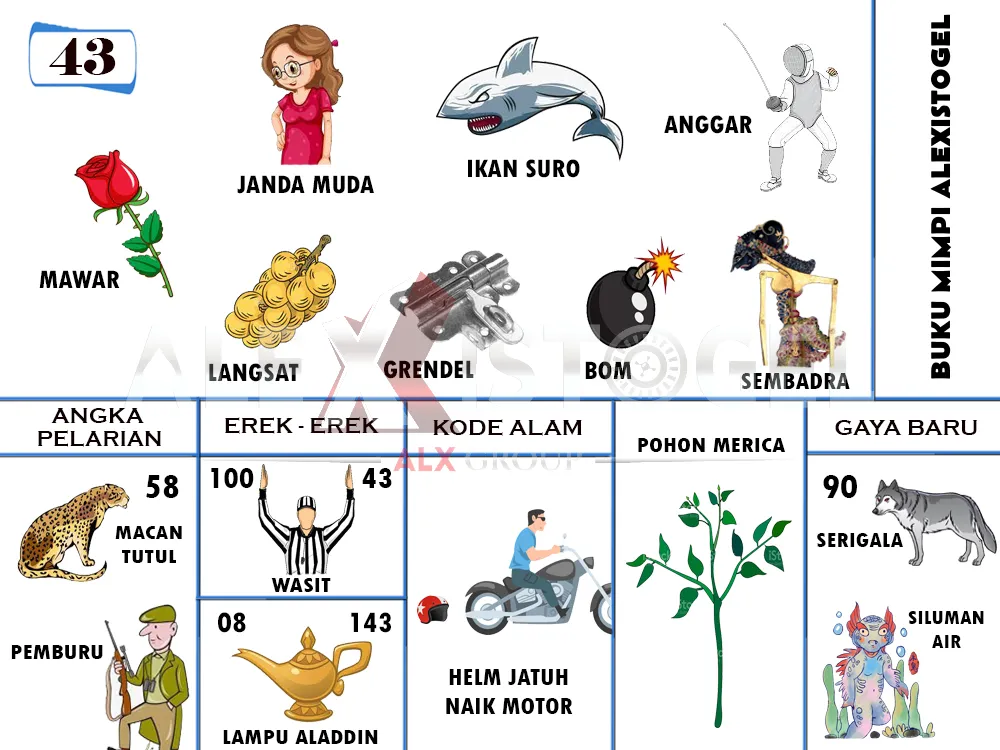 buku mimpi erek erek togel 43